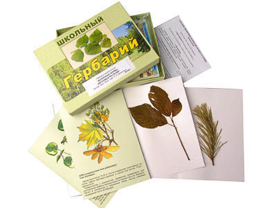 Гербарий "Жизненные формы цветковых растений" (раздаточный)