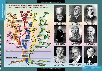 Таблицы демонстрационные "Введение в экологию"